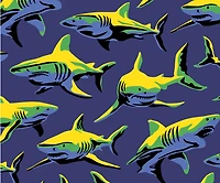 Boxer Max : Requins