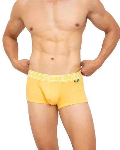 Boxer court Honeyburst