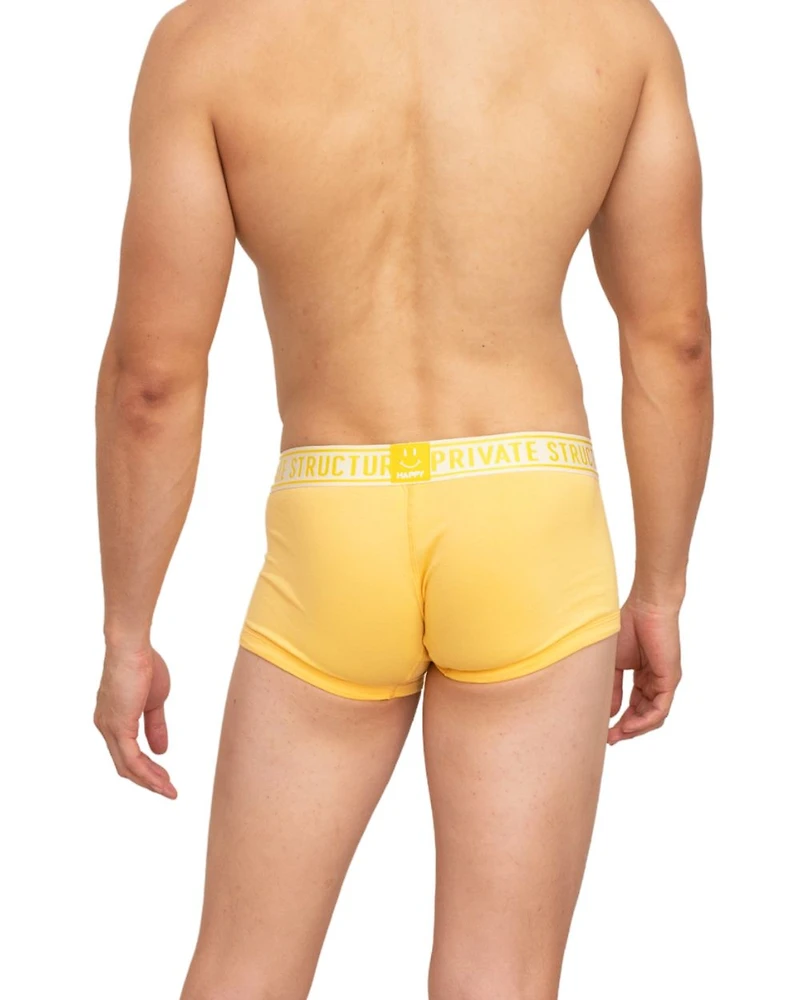 Boxer court Honeyburst