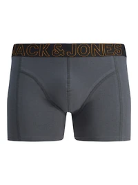Murphy Boxer Shorts: Grey