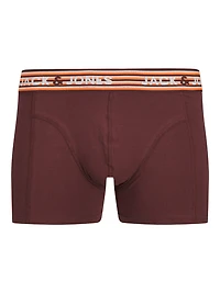 Boxer court Darvin : Burgundy