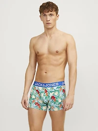 Boxer court Pineapple : Fleurs Rouges
