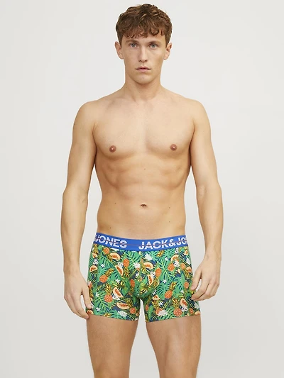 Pineapple Boxer Shorts: Green