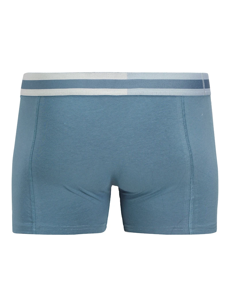 STEVE Blue boxer shorts