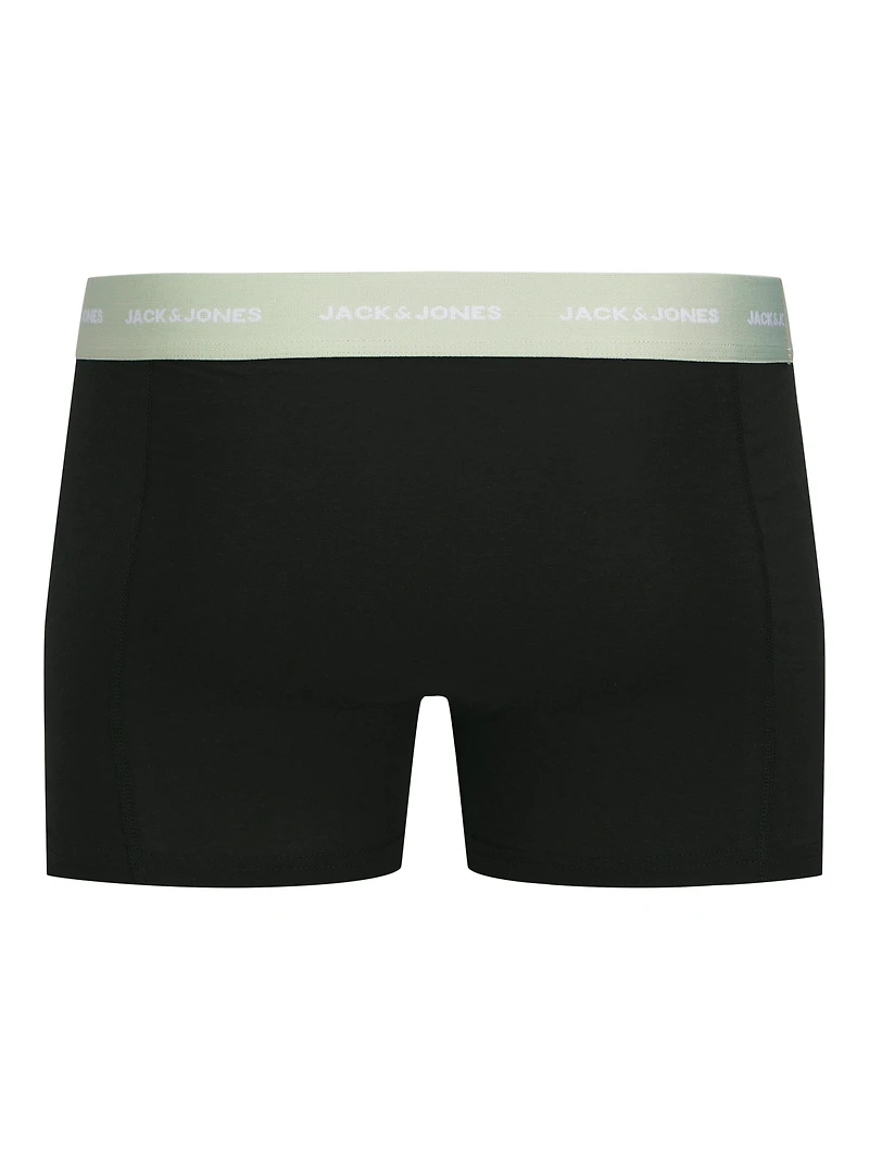 Boxer court TOM