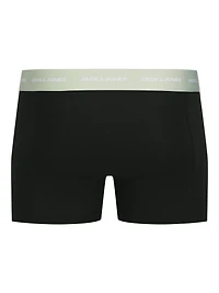 Boxer court TOM