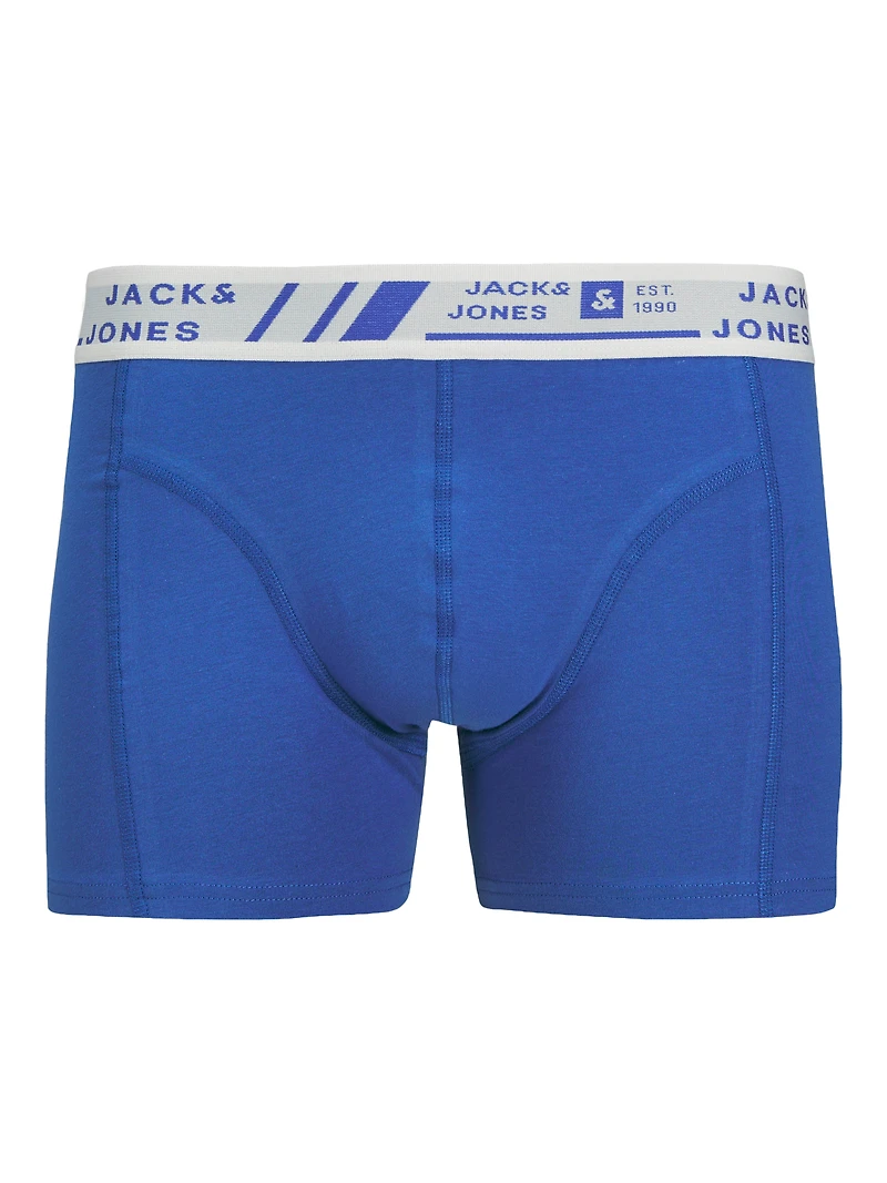 Boxer court Hawaii : Blue