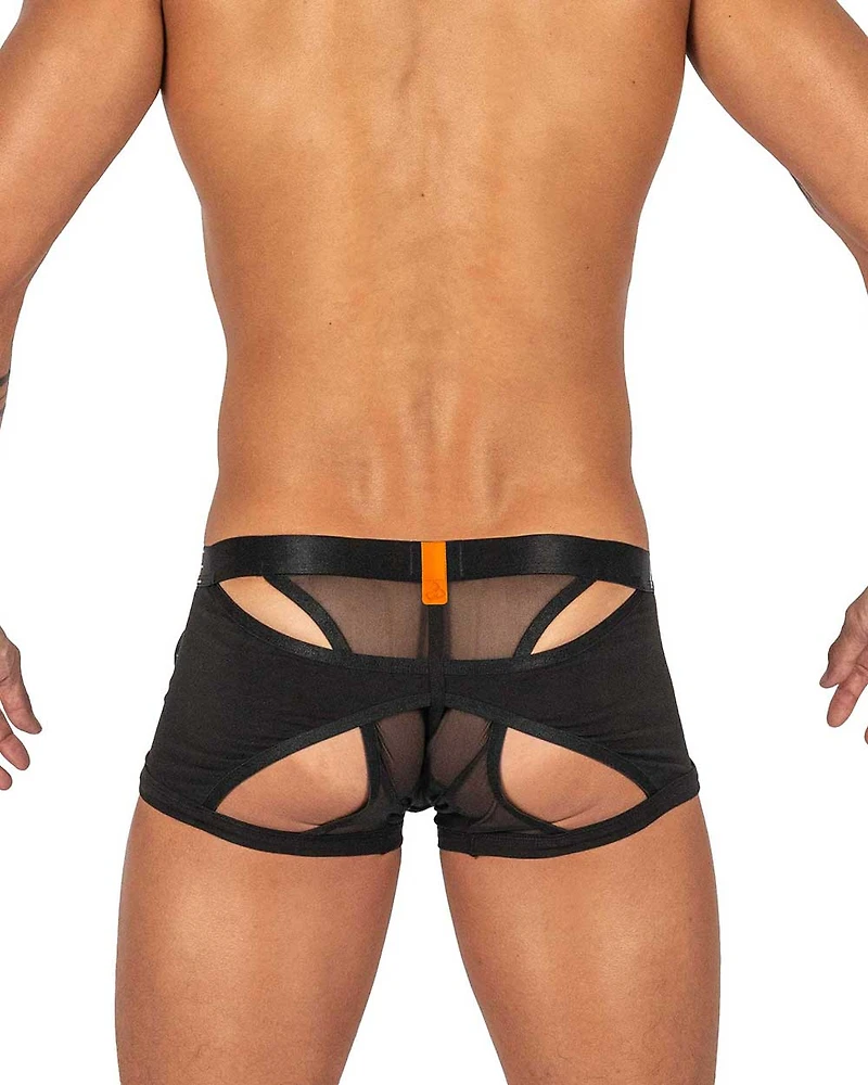 Boxer court Alpha Harness Black