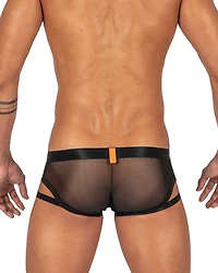 Alpha Harness Black Slip 4419