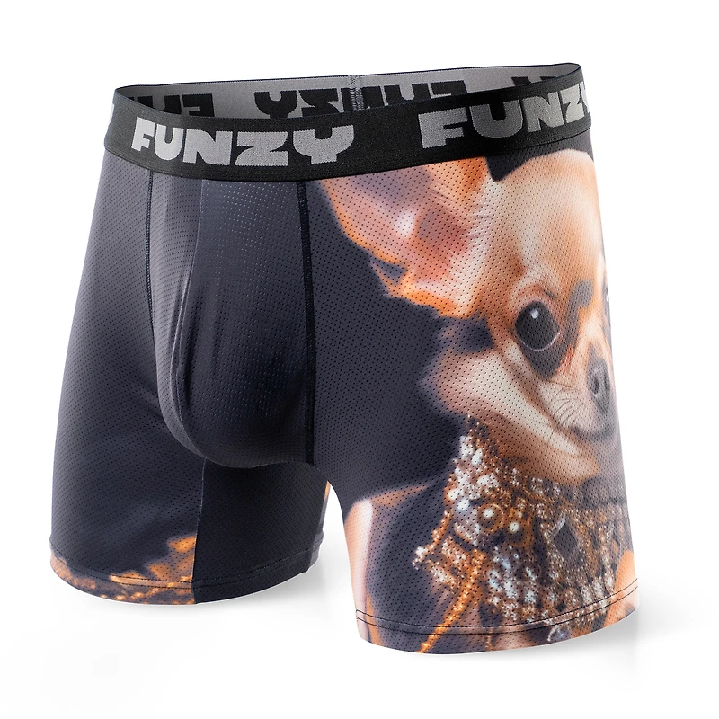 Boxer Funzy Richuahua