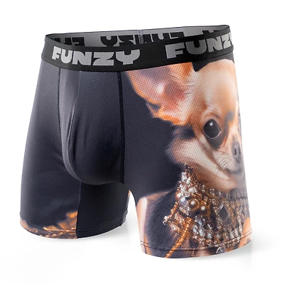 Boxer Funzy Richuahua