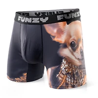 Boxer Funzy Richuahua
