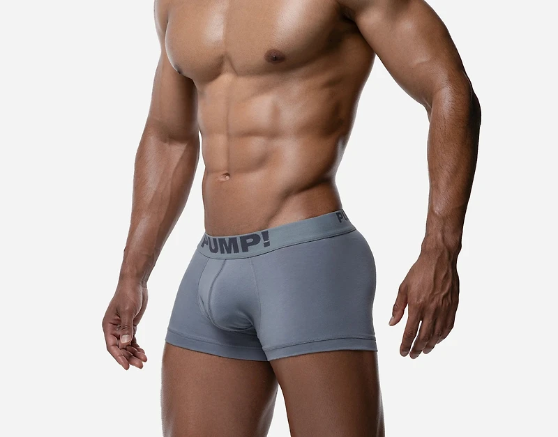 Boxer Gray