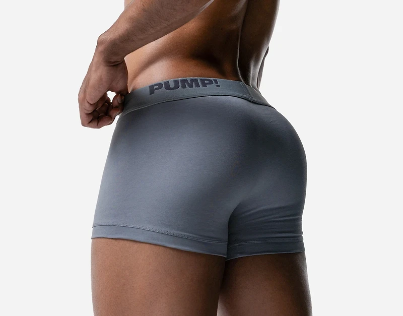 Boxer Gray