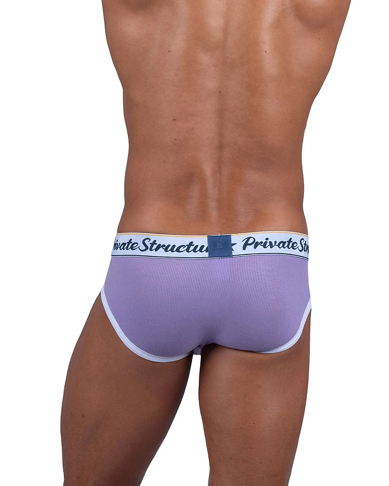 Slip Private Structure mini brief Viola purple