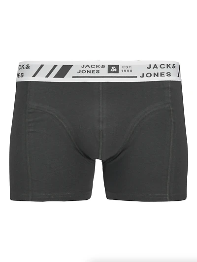 Boxer court Angus : Asphalt