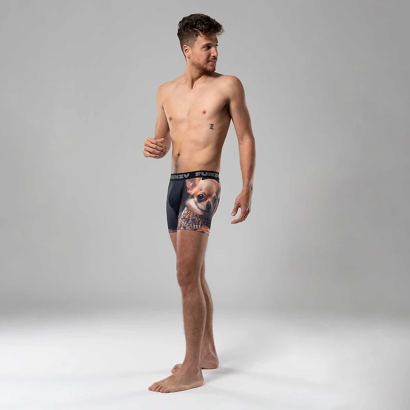 Boxer Funzy Richuahua