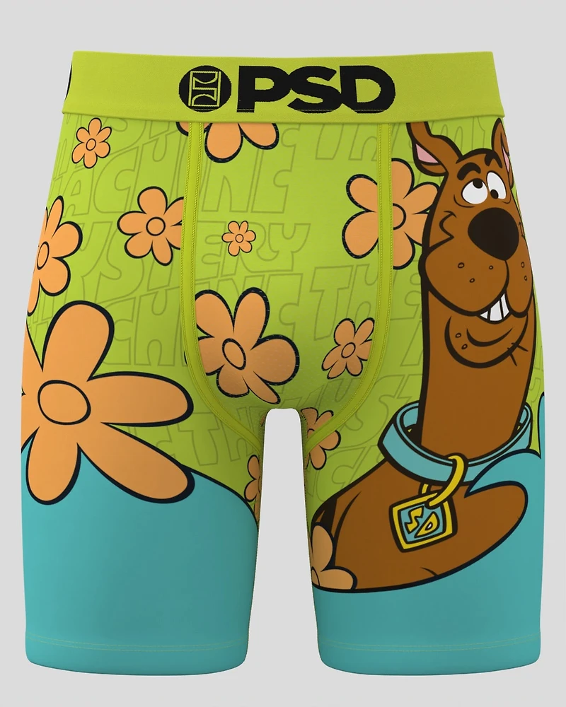 Scoob! Mystery Boxer