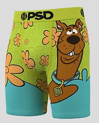 Boxer Mystery Scoob