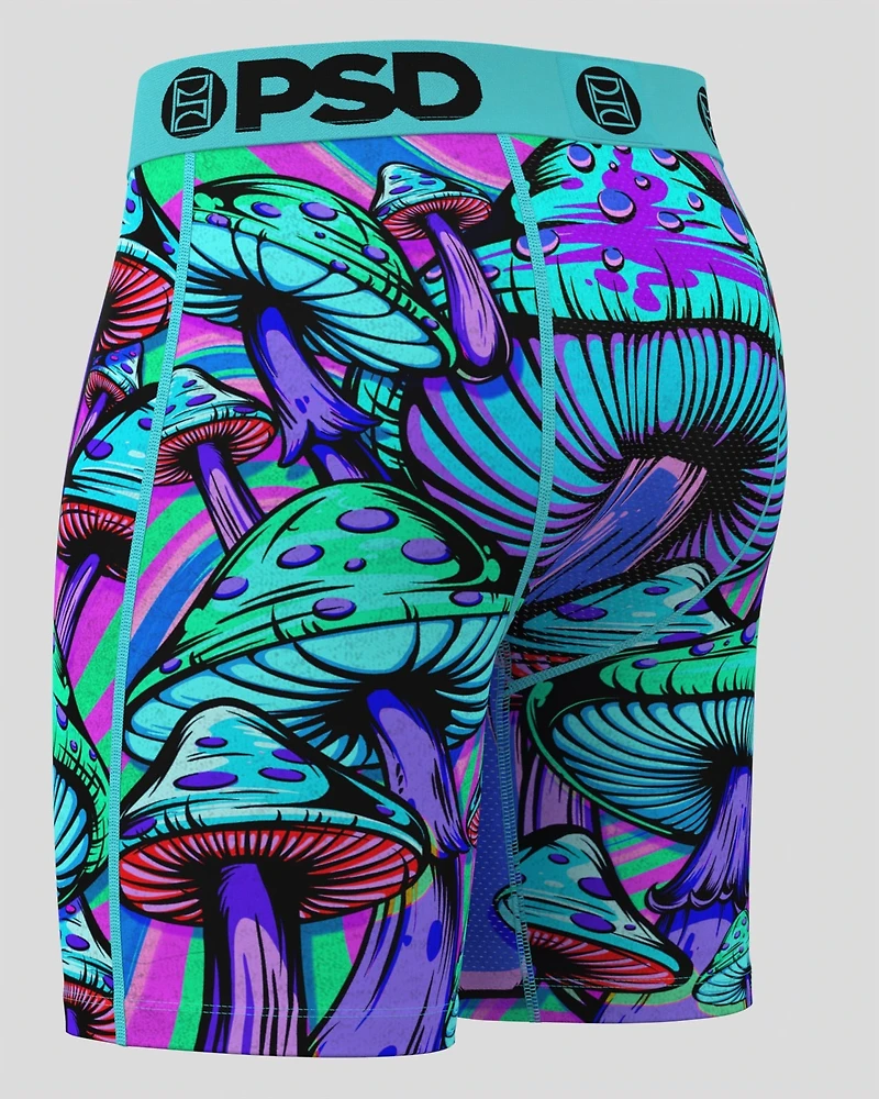 Boxer Shroom Society