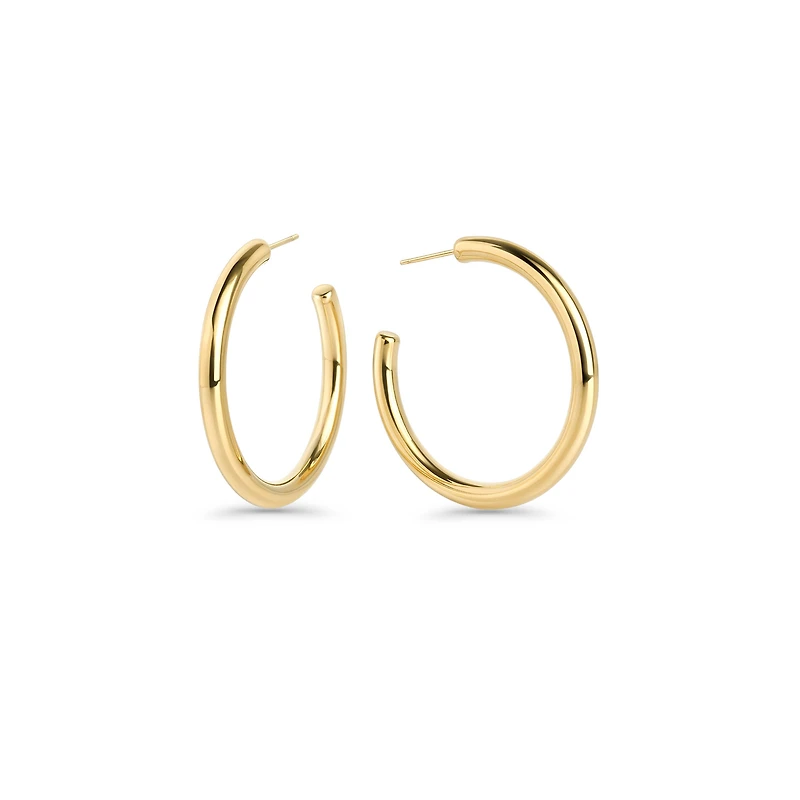 Liora Hoop Huggie Earrings