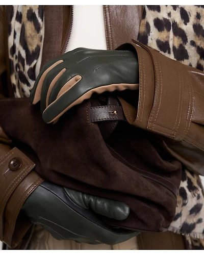 Echo Colorblock Leather Glove