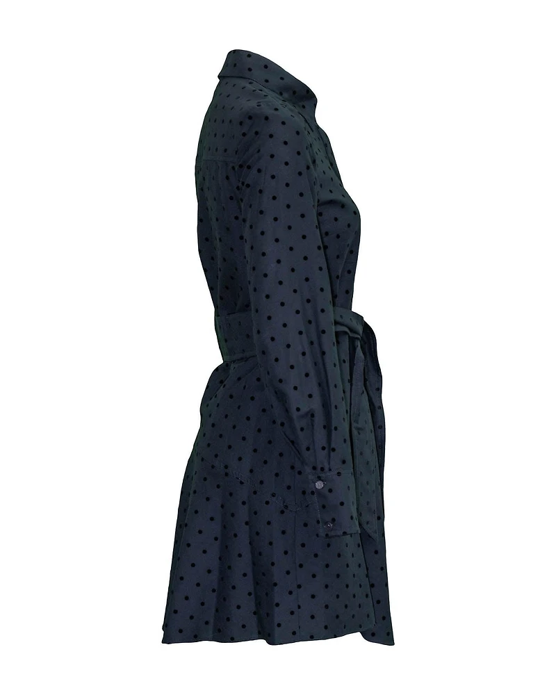 Alecia Asymmetrical Dress