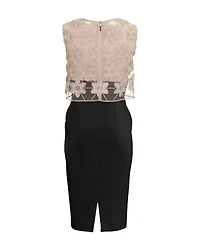 Lace Popover Dress