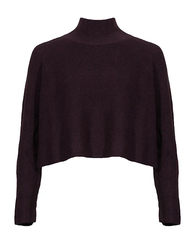 Eileen Fisher Cropped Knit Turtleneck