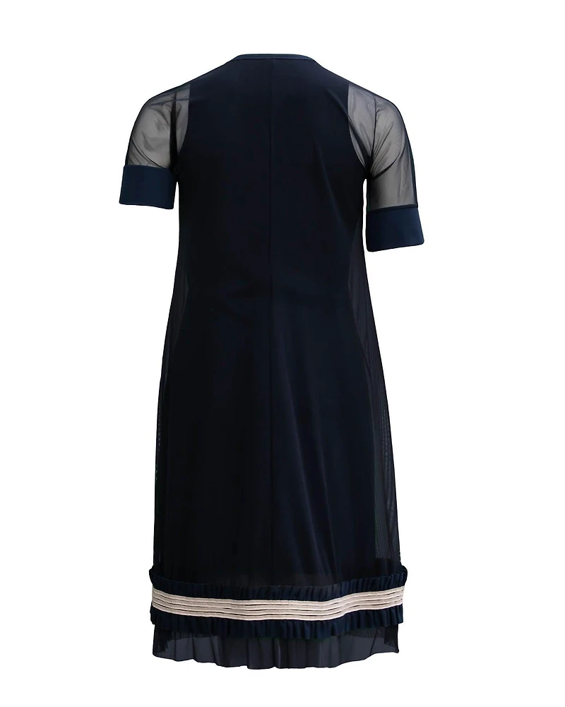 Fanel V-neck Mesh Dress