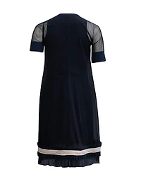 Fanel V-neck Mesh Dress