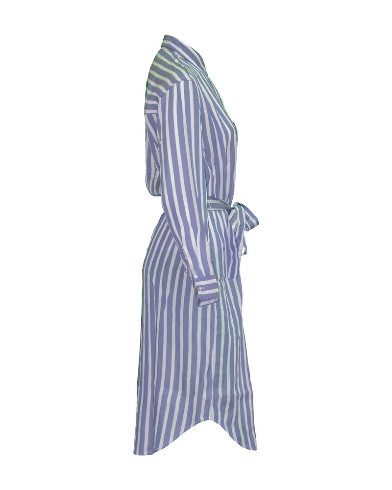 Ames Stripe Dress