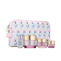 The Radiance Routine Resilience Multi-Effect Skincare Gift Set