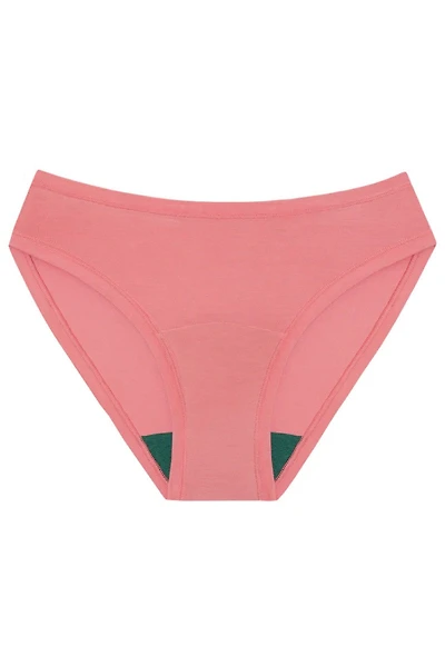 Bikini - Desert Rose