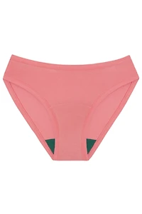 Bikini - Desert Rose