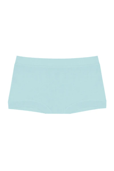 Boxer - Plunge