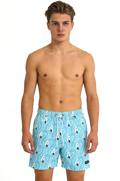 Chocobo Volley Short