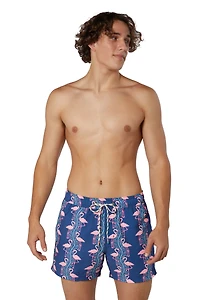 Flamingoes Swim Shorts