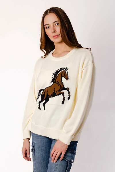 Horse Sweater