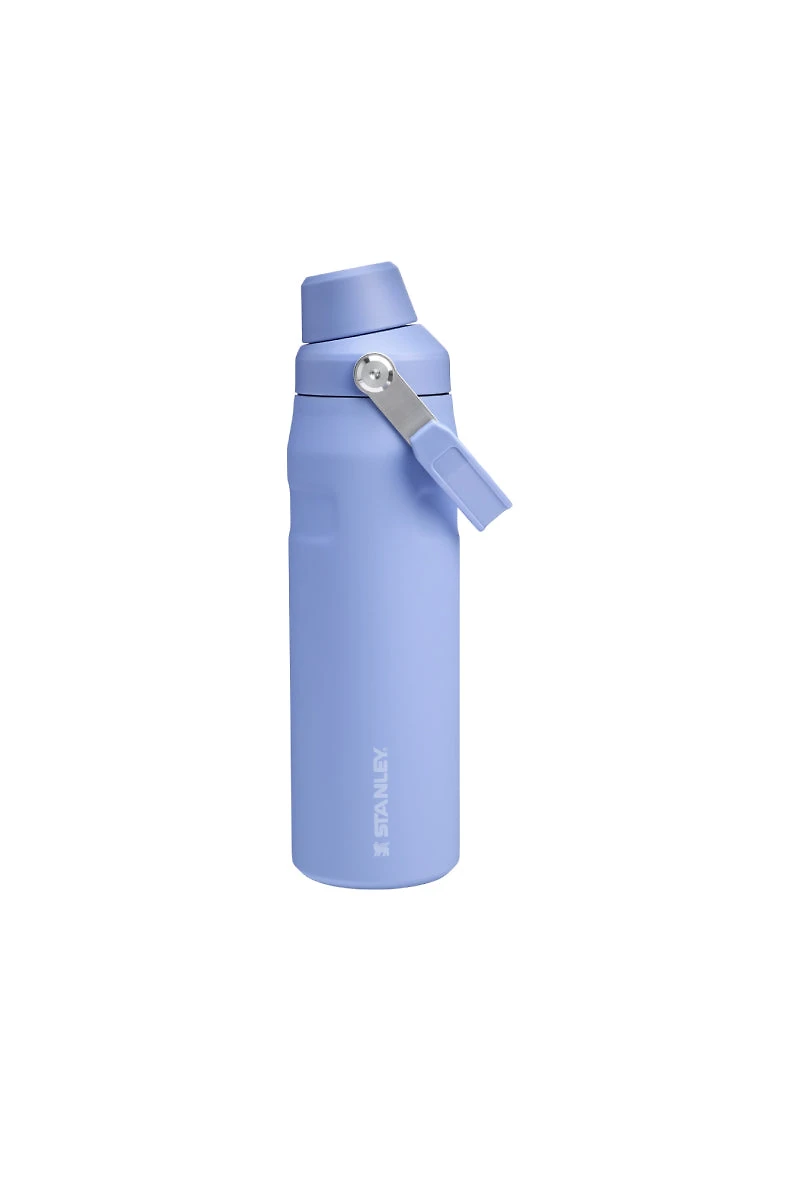 Iceflow Aerolight Bottle With Cap 24 oz - Hydrangea