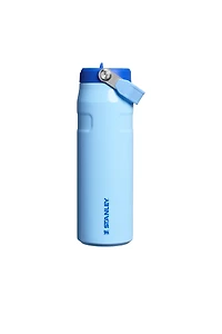 Iceflow Flip Straw 2.0 Bottle oz