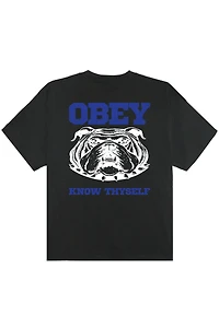 Know Thyself Heavyweight Tee