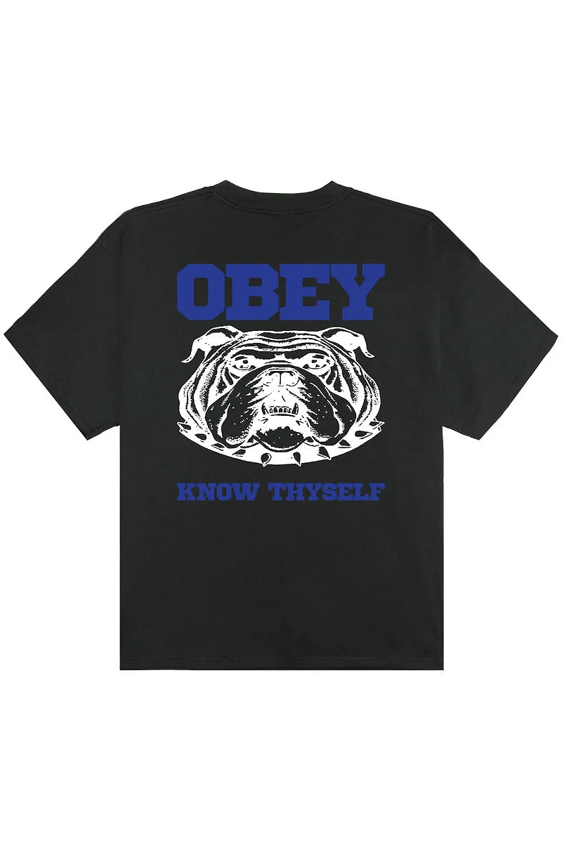 Know Thyself Heavyweight Tee