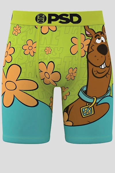 Mystery Scoob Boxer Brief