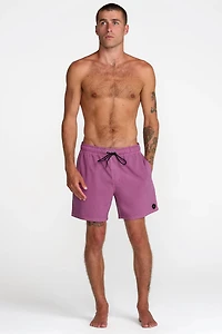 Pigment Elastic 16 Volley Shorts