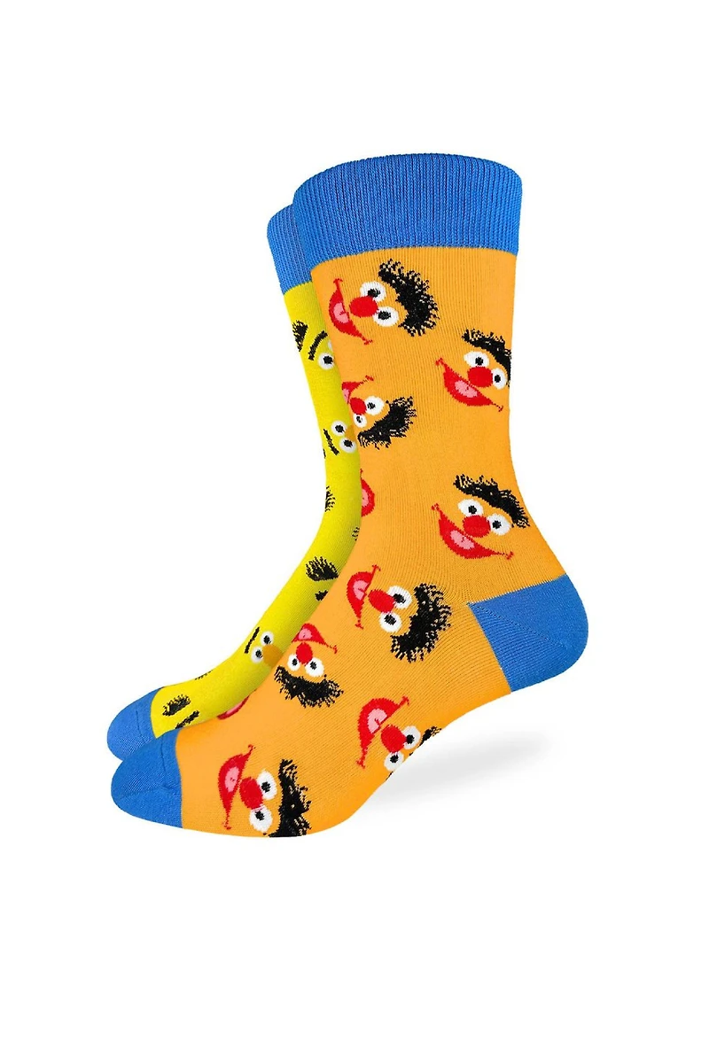 Sesame Street Bert & Ernie Mismatch Socks