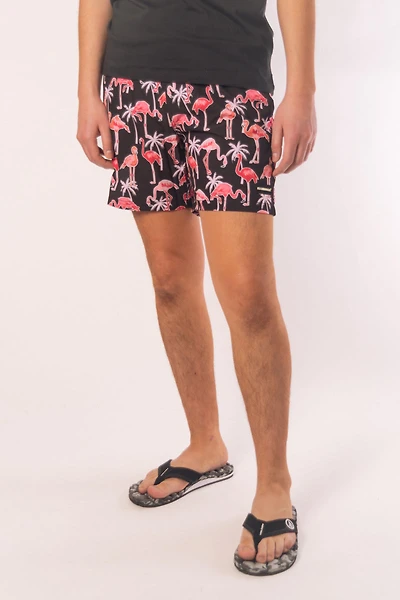 Seychelles Volley Short