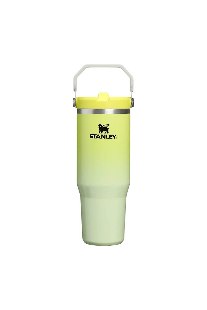Iceflow Flip Straw Tumbler 30 oz - Atomic Gradient