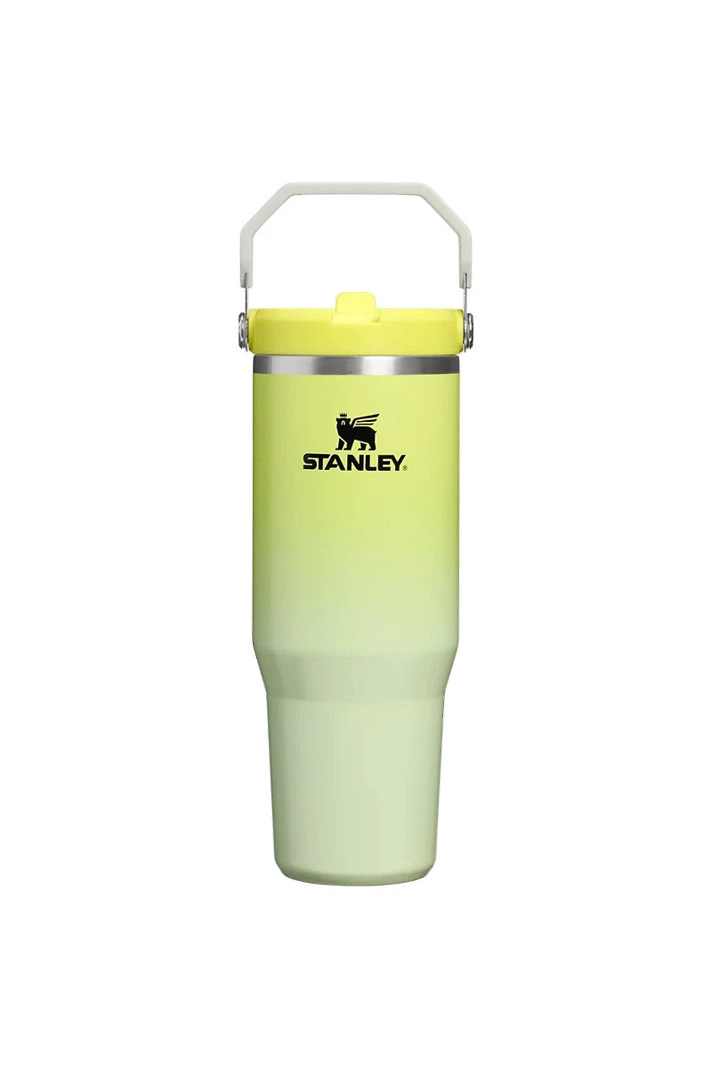 Iceflow Flip Straw Tumbler 30 oz - Atomic Gradient