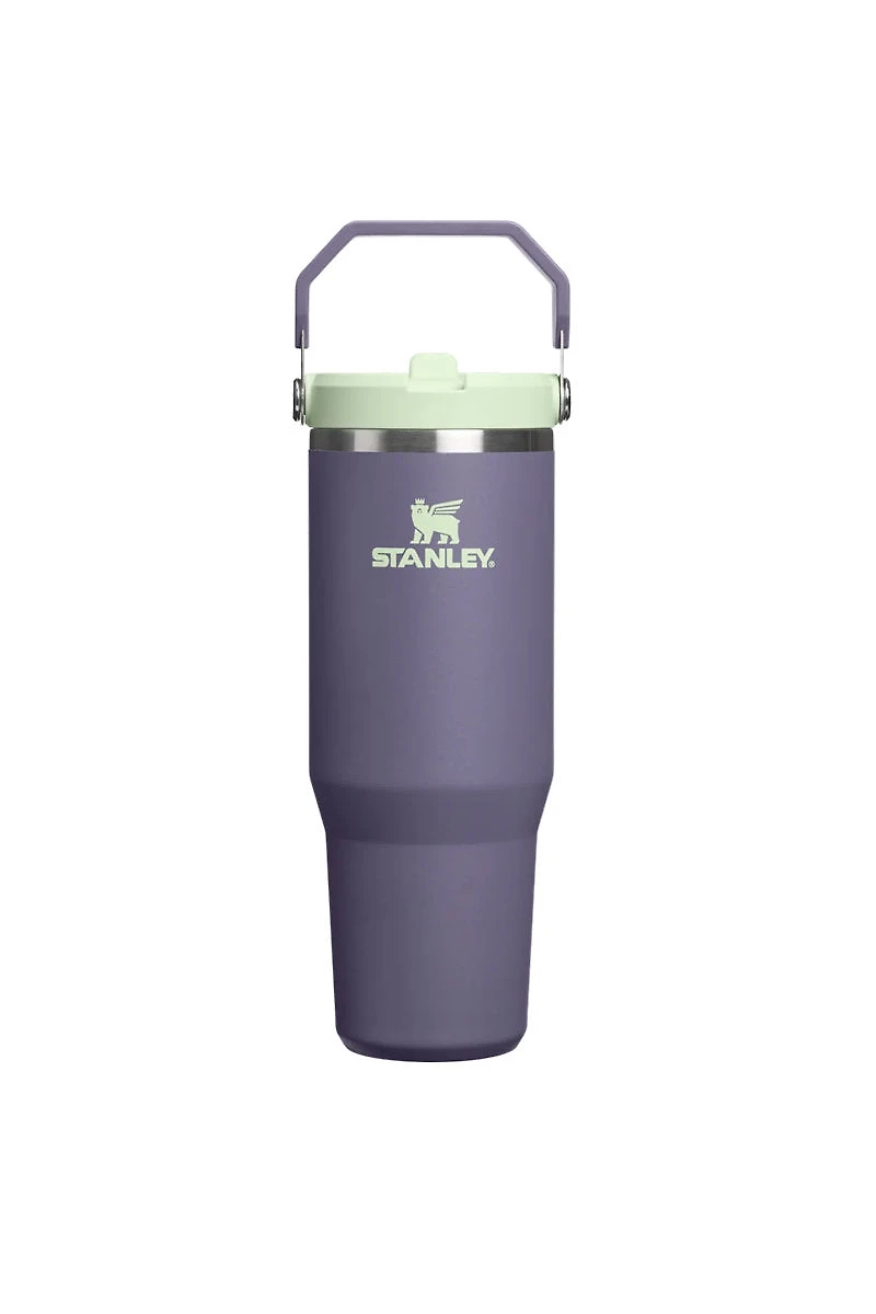 Iceflow Flip Straw Tumbler 30 oz - Purple Umbra